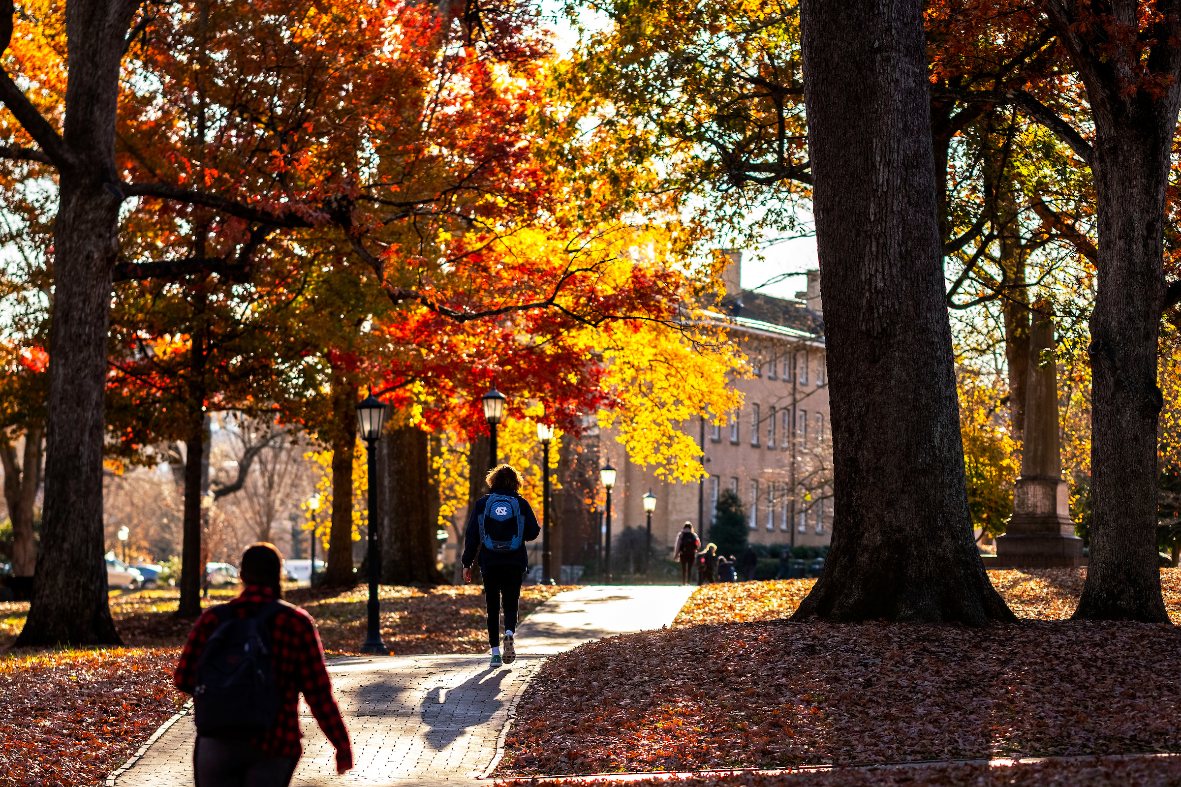 Fall trees on a college campus