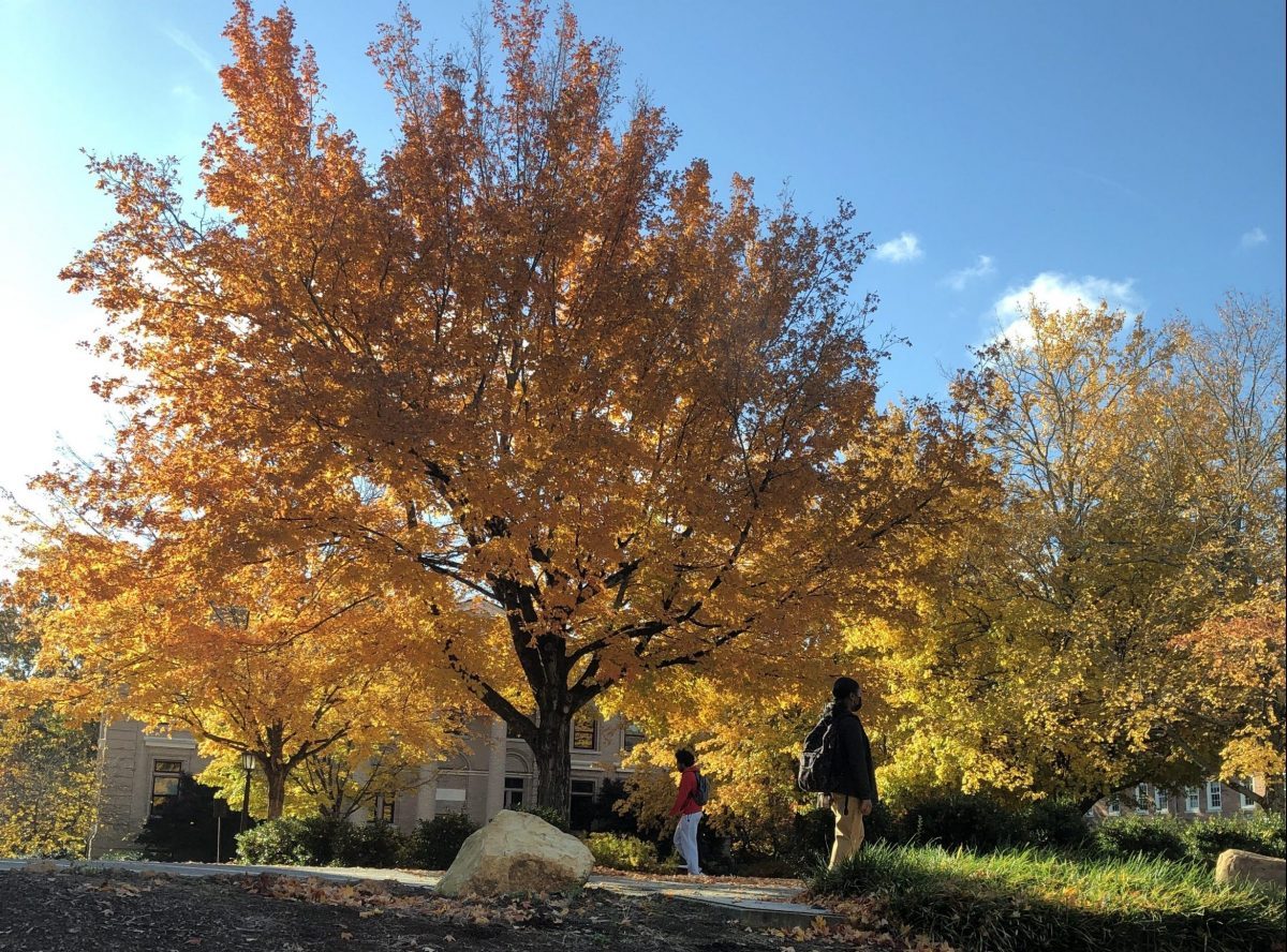 Fall scene on campus