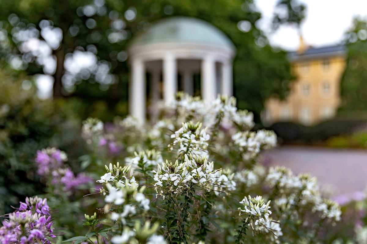 Old Well in the spring